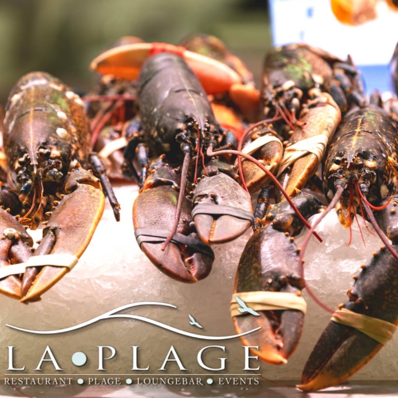 Carte marée - La Plage - Restaurant Mandelieu La Napoule - restaurant Fruits de mer MANDELIEU-LA-NAPOULE